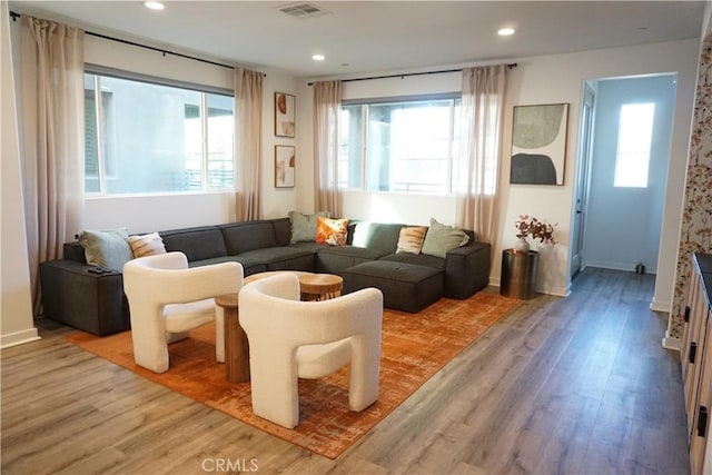 living room with hardwood / wood-style flooring and plenty of natural light