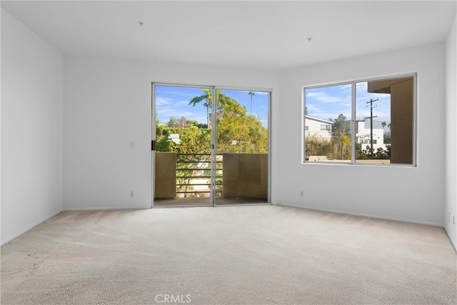 carpeted spare room with a healthy amount of sunlight