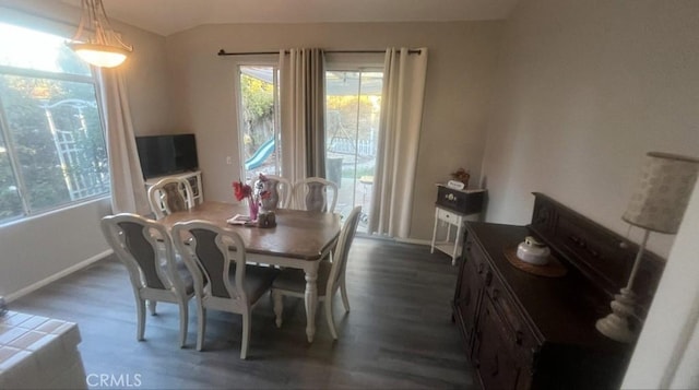 dining space with dark hardwood / wood-style flooring