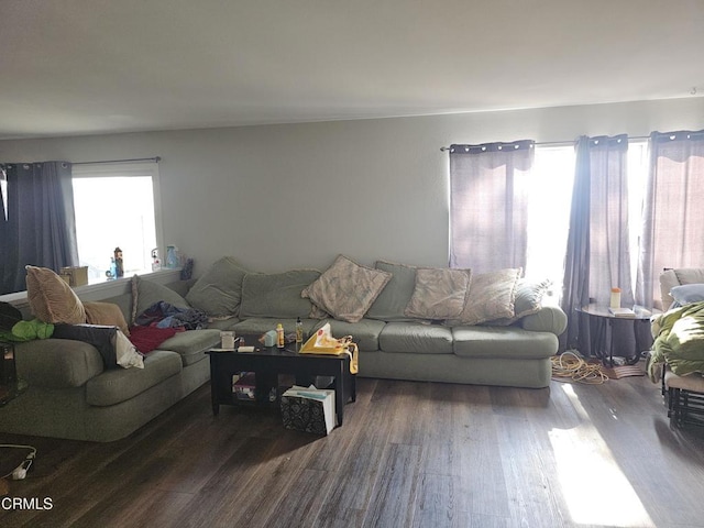 living room featuring wood-type flooring