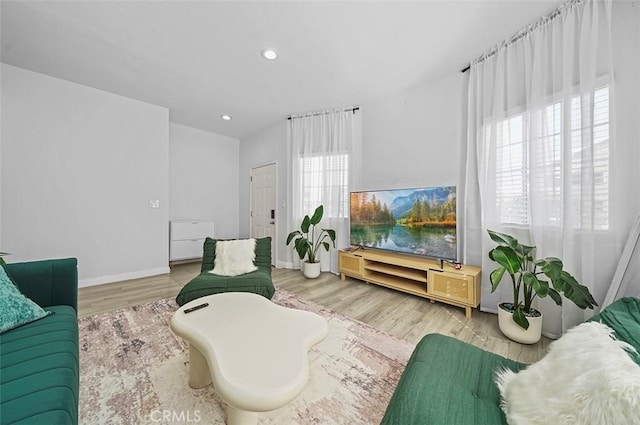 living room with hardwood / wood-style floors