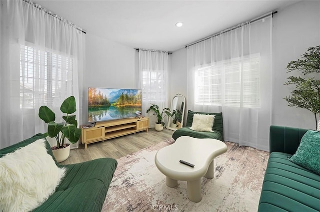 sitting room featuring hardwood / wood-style flooring and a wealth of natural light