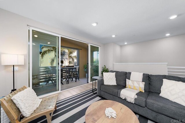 living room featuring hardwood / wood-style flooring