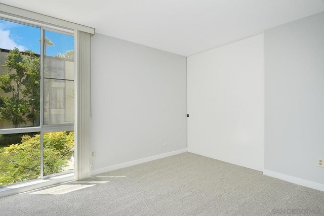 empty room with carpet and a healthy amount of sunlight