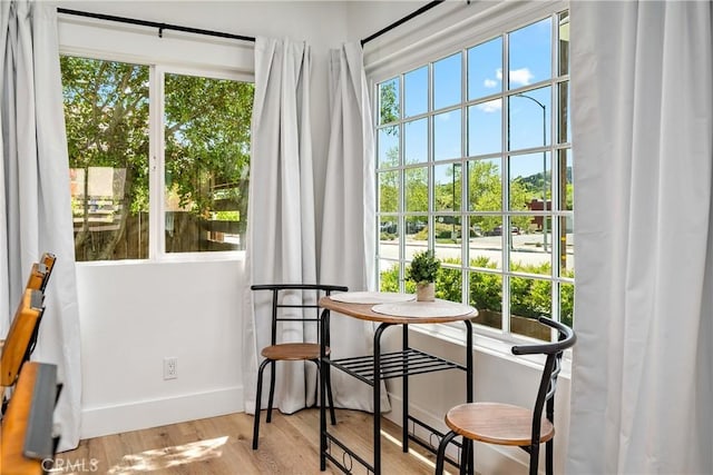 doorway with wood finished floors, a wealth of natural light, and baseboards