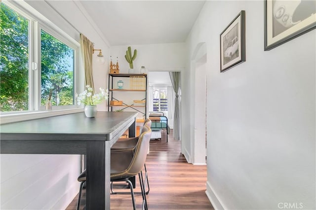 dining room featuring baseboards and wood finished floors