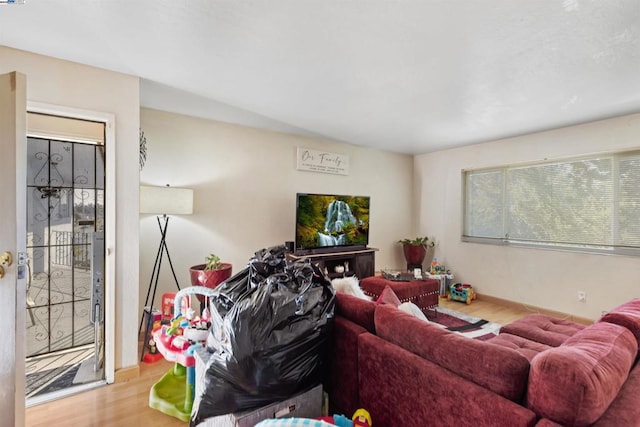 living room with hardwood / wood-style flooring