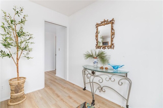 62000 Indian Hill Rd, Mountain Center, CA 92561 - photo 7
