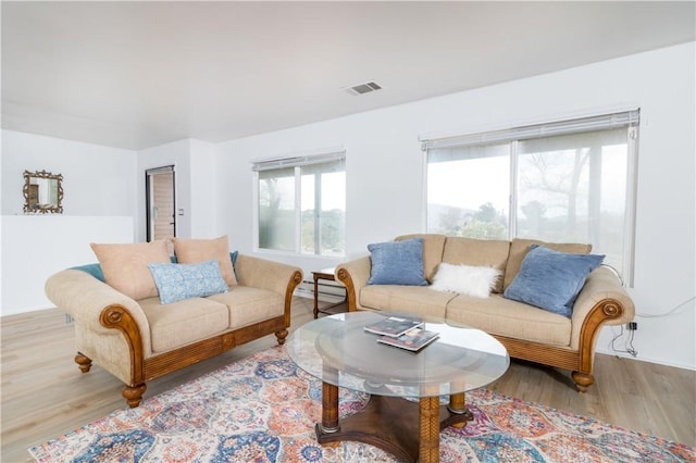 living room with a baseboard heating unit and light hardwood / wood-style floors