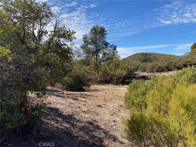 62000 Indian Hill Rd, Mountain Center, CA 92561 - photo 6