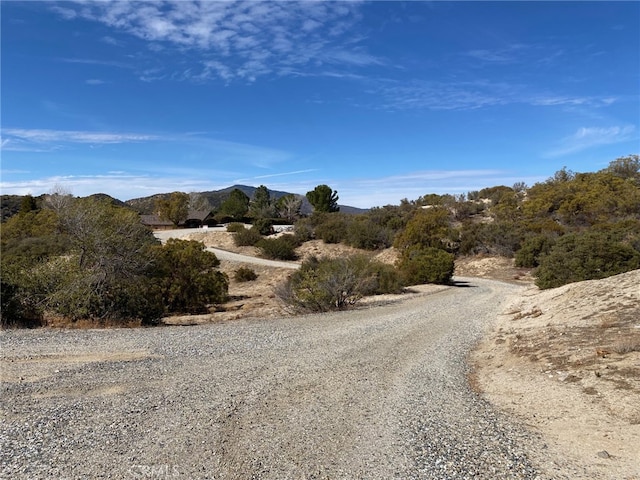 62000 Indian Hill Rd, Mountain Center, CA 92561 - photo 4