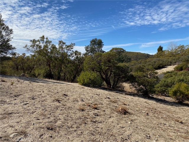 62000 Indian Hill Rd, Mountain Center, CA 92561 - photo 48