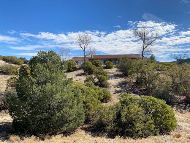 62000 Indian Hill Rd, Mountain Center, CA 92561 - photo 2