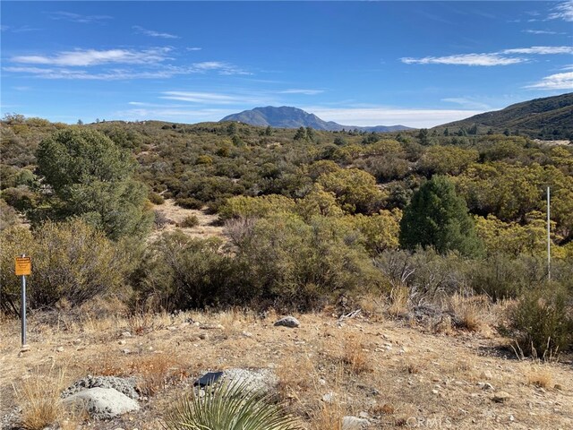 62000 Indian Hill Rd, Mountain Center, CA 92561 - photo 47