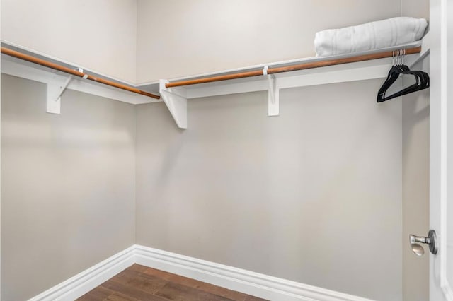 walk in closet featuring dark wood-type flooring