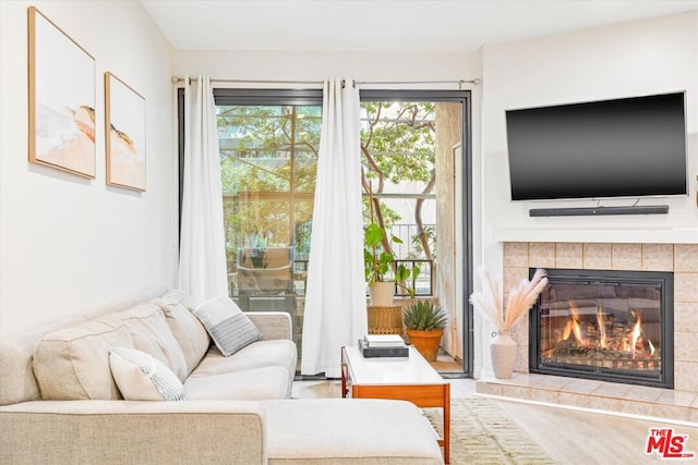 living room with a fireplace and hardwood / wood-style floors