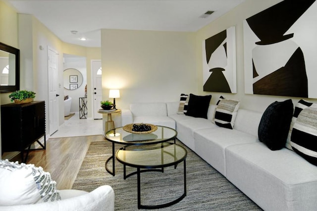 living room featuring light hardwood / wood-style flooring