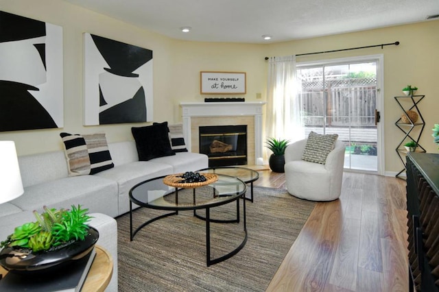 living room featuring hardwood / wood-style floors