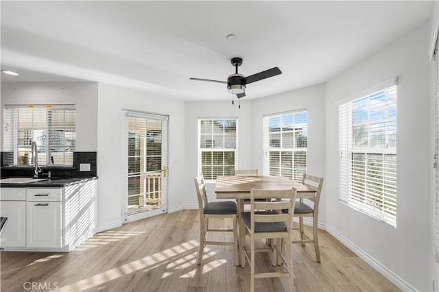 dining room featuring sink, ceiling fan, and light hardwood / wood-style flooring