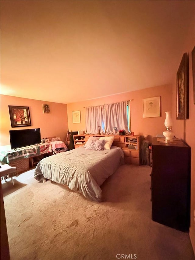 bedroom with carpet