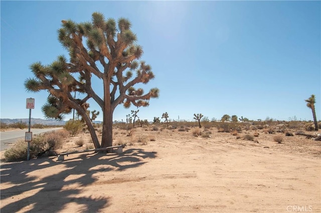 3342 Yucca Mesa Rd, Yucca Valley CA, 92284 land for sale