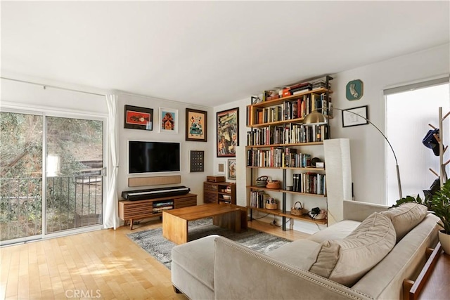 living room with light hardwood / wood-style flooring