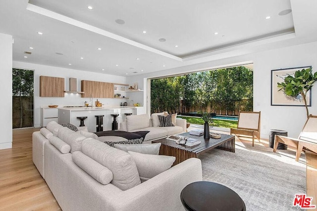 living room with a raised ceiling and light hardwood / wood-style flooring