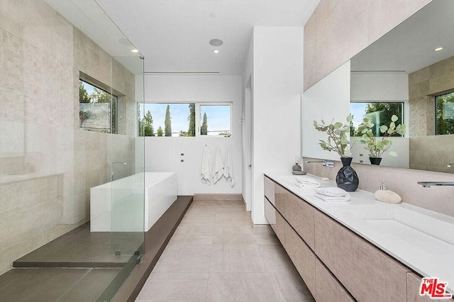 bathroom featuring vanity, tile patterned flooring, plenty of natural light, and plus walk in shower