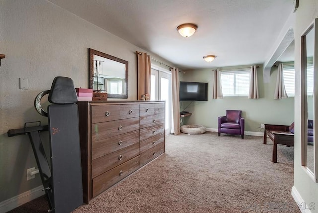 bedroom with carpet flooring