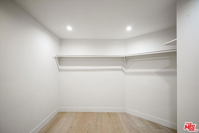 spacious closet with wood-type flooring