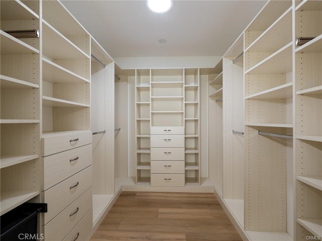 spacious closet featuring light hardwood / wood-style flooring