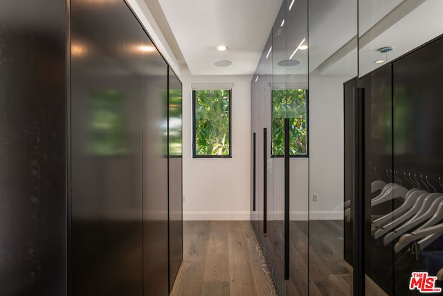 hallway featuring dark hardwood / wood-style flooring