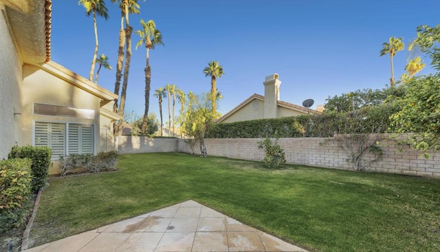 view of yard with a patio area