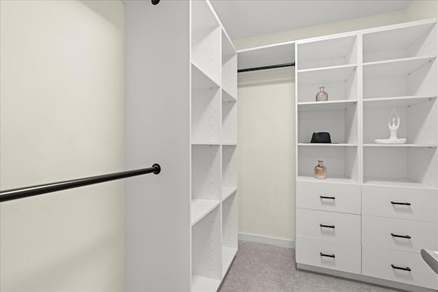 spacious closet featuring light carpet