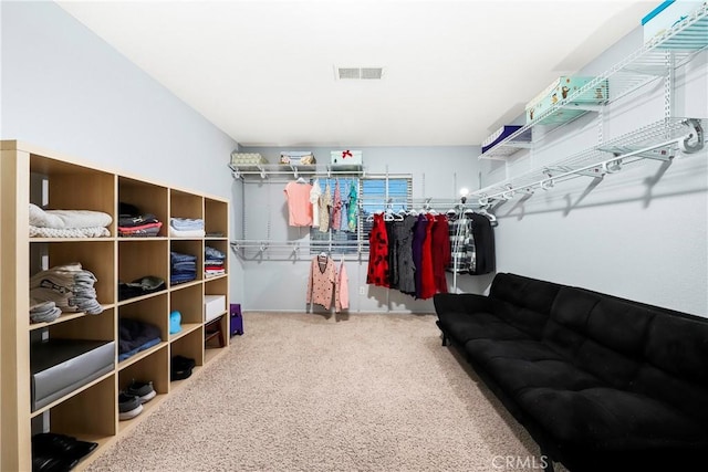 view of walk in closet