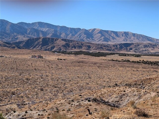 30320 183rd St E, Llano, CA 93544 - view of mountain background