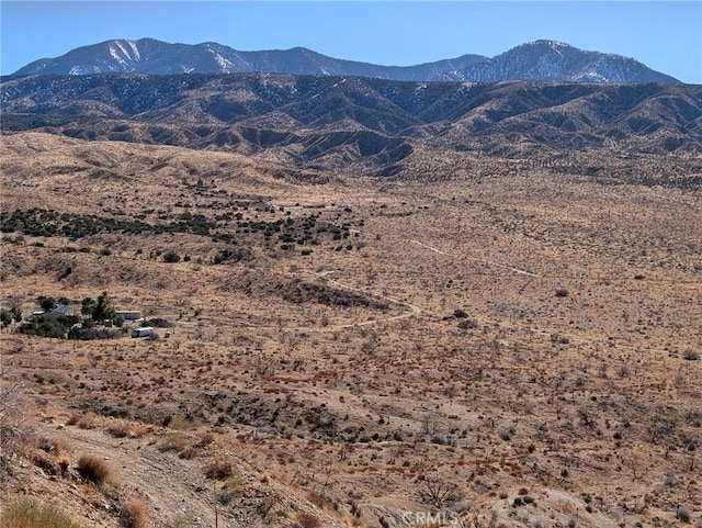 30320 183rd St E, Llano, CA 93544 - mountain view