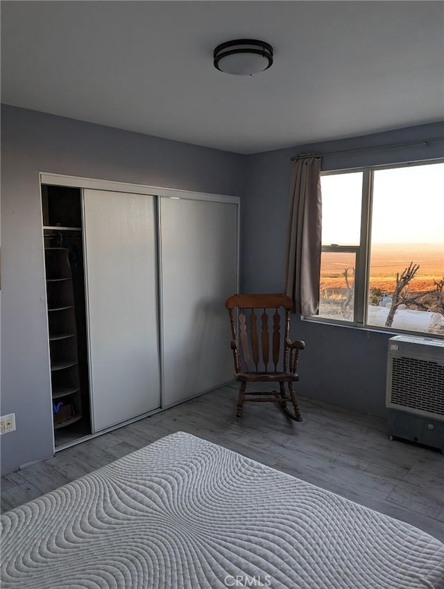 bedroom featuring light wood-type flooring, a closet, and a wall mounted air conditioner