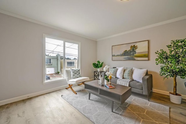 living room with wood-type flooring and crown molding