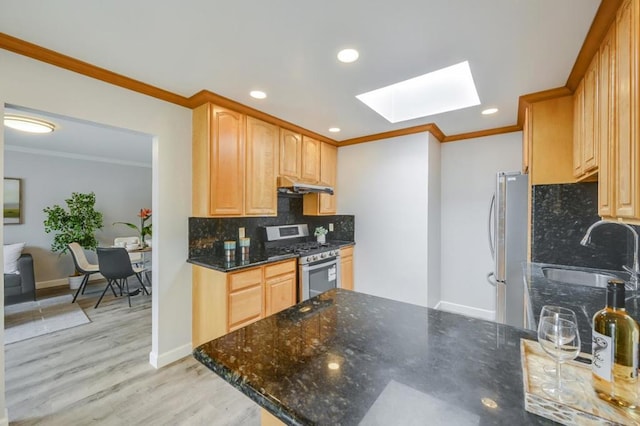 kitchen featuring sink, a skylight, ornamental molding, and appliances with stainless steel finishes