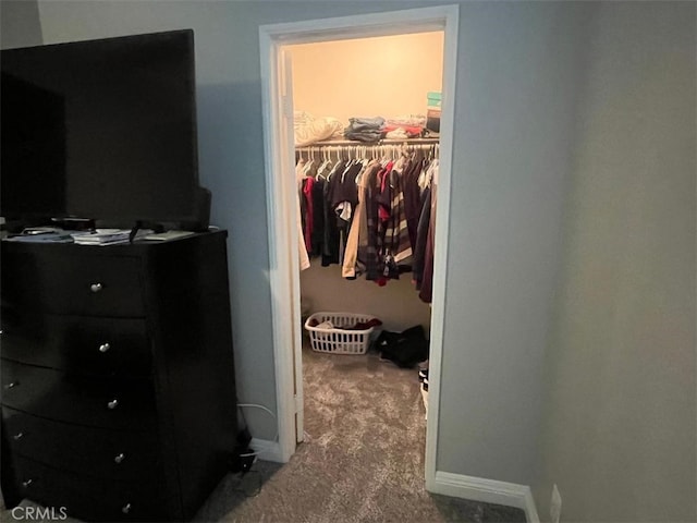 walk in closet with carpet floors