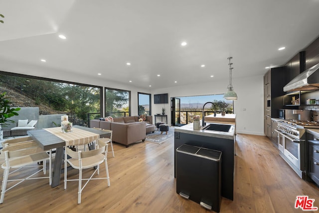 kitchen with light hardwood / wood-style floors, stainless steel appliances, a kitchen island with sink, decorative light fixtures, and sink