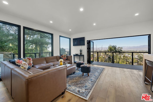 living room with a mountain view and light hardwood / wood-style floors