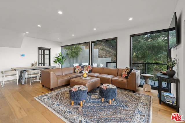 living room featuring light wood-type flooring