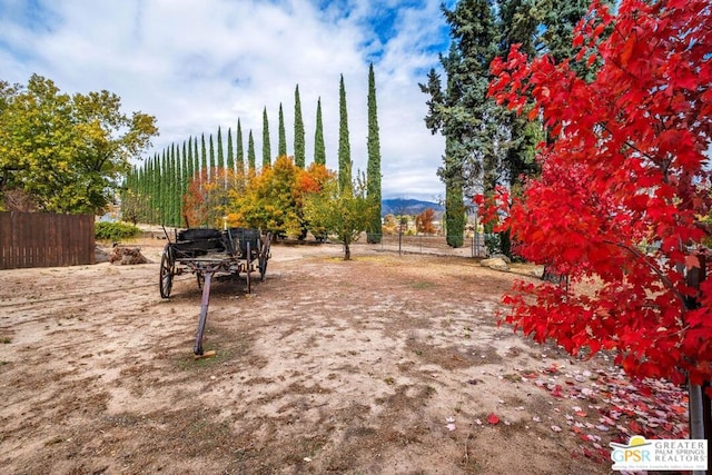 view of yard with a mountain view