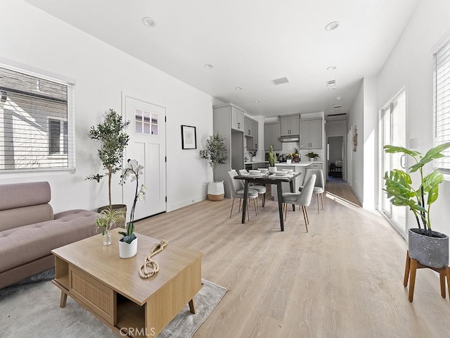 living room featuring light wood-type flooring