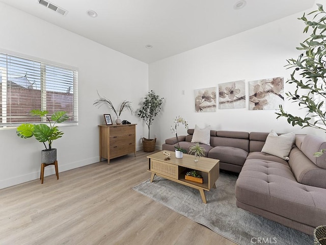 living room with light wood-type flooring