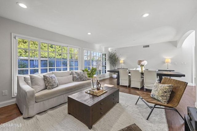 living room featuring a healthy amount of sunlight and hardwood / wood-style floors