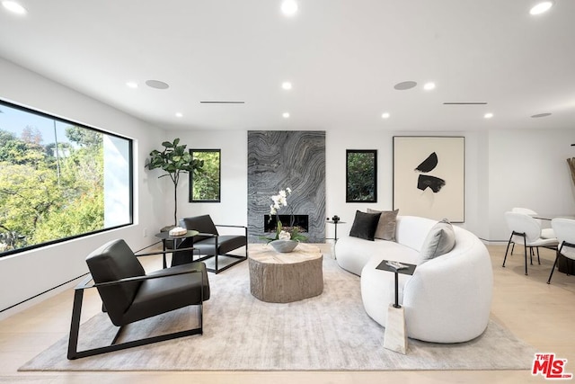 living room featuring a fireplace and light hardwood / wood-style floors