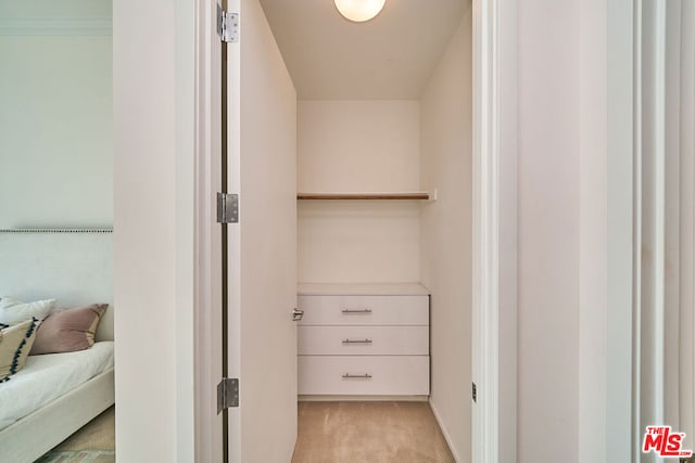 view of closet